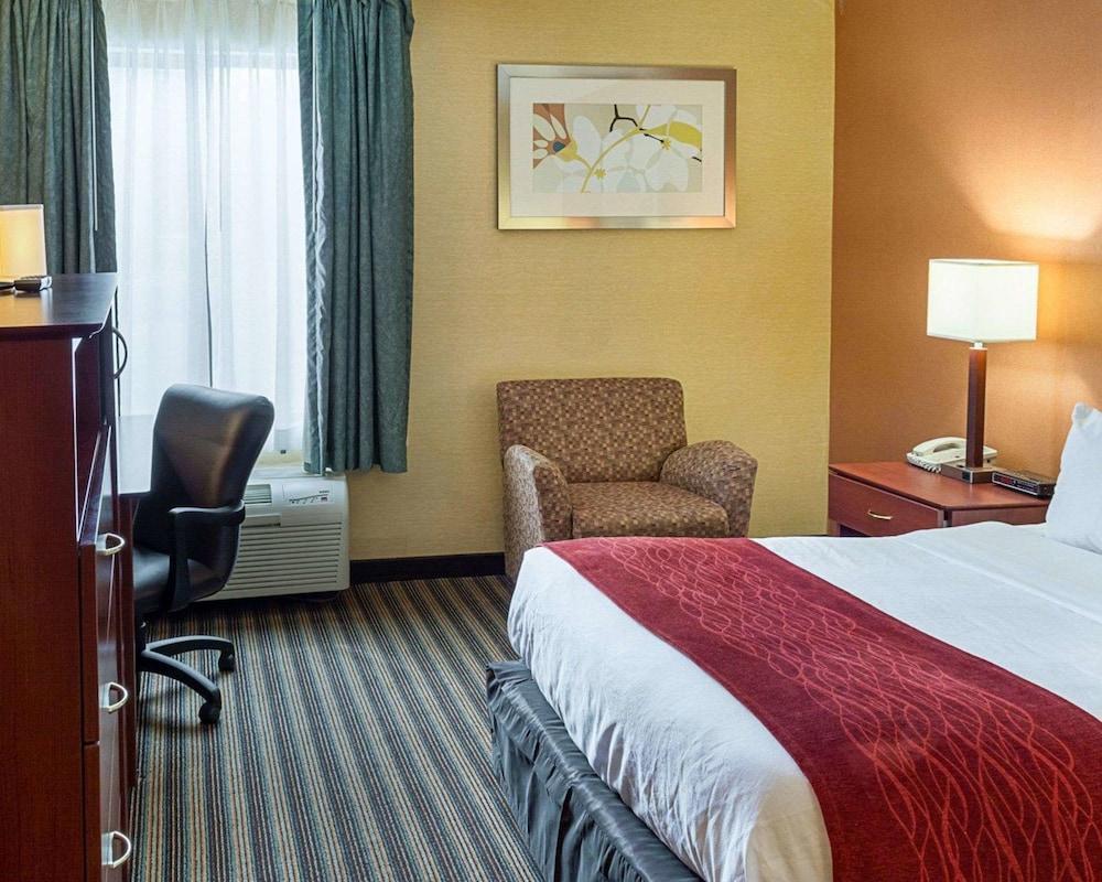 Comfort Inn Petersburg Near Fort Gregg-Adams Exterior foto